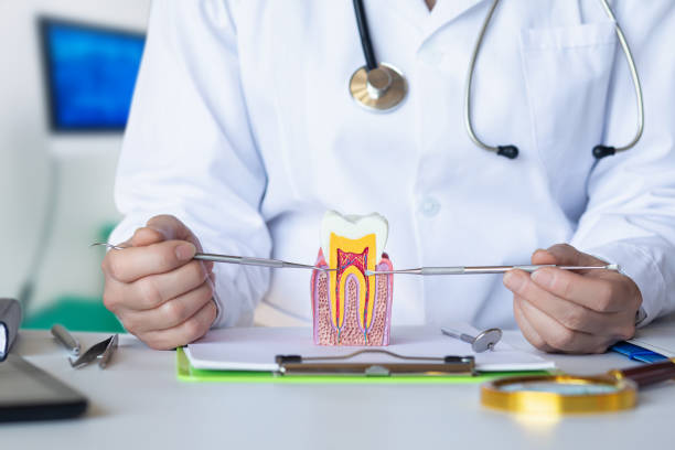 Best Emergency Tooth Extraction  in Grosse Pointe Farms, MI